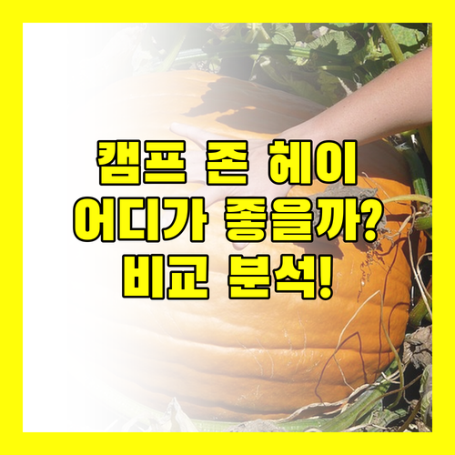 캠프 존 헤이 호텔 어디가 좋을까? 매너 vs 포레스트 Lodge 비교 분석!