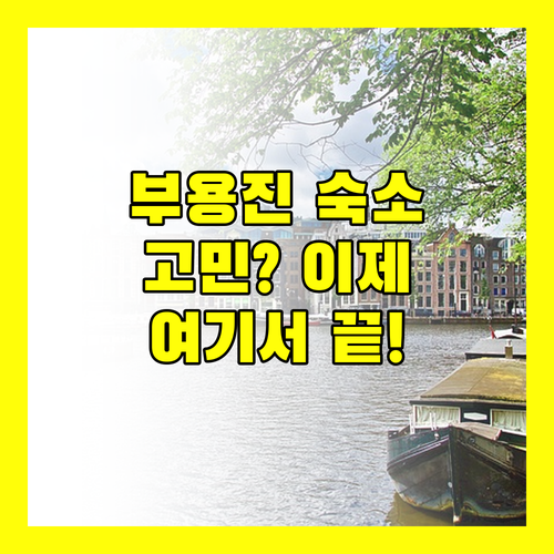 부용진 숙소 고민 끝! 후기 좋은 곳만 모아봤어요