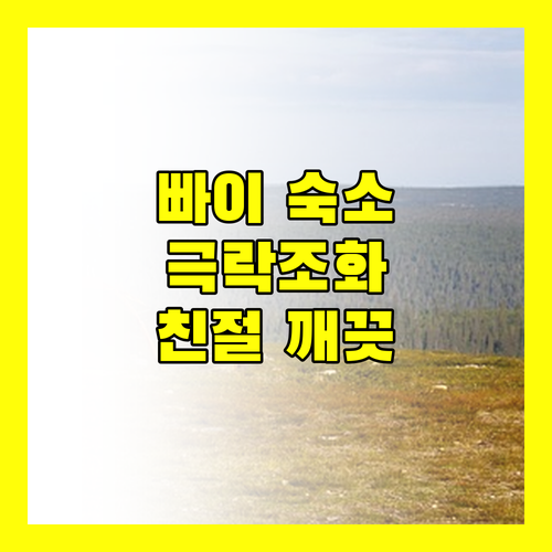빠이 여행 숙소 추천 친절한 서비스와 깨끗한 환경의 완벽한 조화