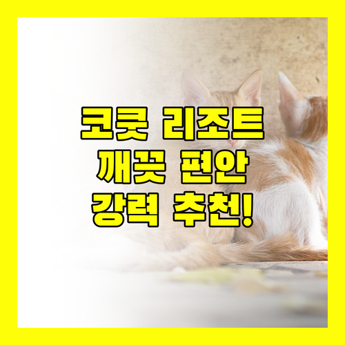 분야가드 코쿳 리조트, 깨끗하고 편안한 숙소 경험!