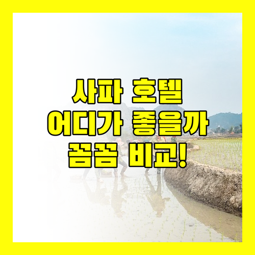 사파 여행, 어떤 호텔을 선택해야 후회 없을까 KK 사파 호텔, 밤부 스파 호텔, 피스타치오 호텔 스파, 리토 호텔 센트럴 사파 완벽 비교
