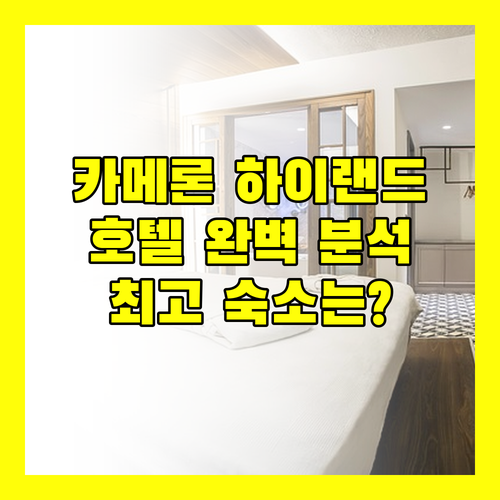 카메론 하이랜드 호텔 완벽 분석 여행객이 선택한 최고의 숙소는?