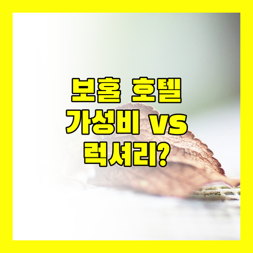 가성비 vs 럭셔리? 보홀 호텔 추천 & 장단점 완벽 분석!