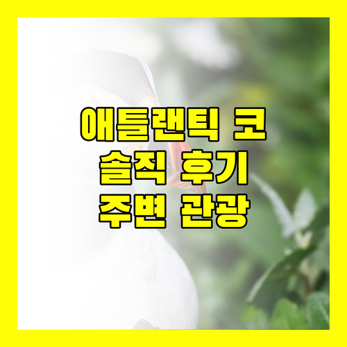 애틀랜틱 코스트 인 솔직 후기 및 주변 관광 정보