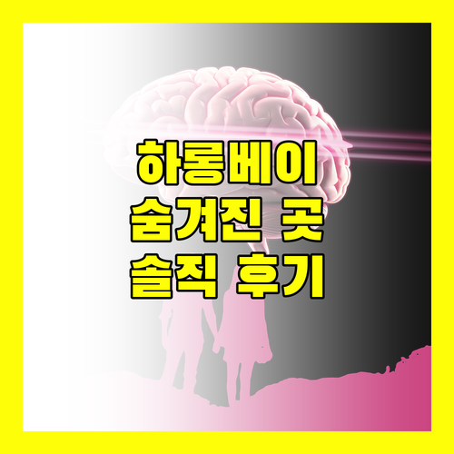 더 왓슨 프리미엄 하롱 호텔 숨겨진 매력! 실제 투숙객 후기 대방출
