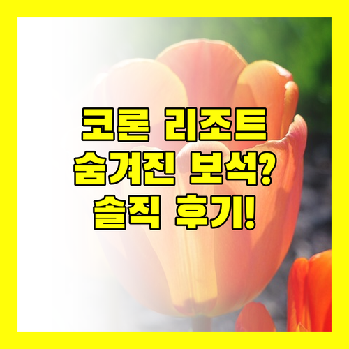 펄 비스타 데 코론 리조트 호텔, 숨겨진 보석 같은 곳일까?
