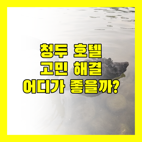 청두 호텔 고민 끝 랑포 하얏트 vs 히든 하우스 당신의 선택은?