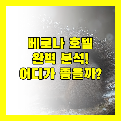 베로나 호텔 완벽 분석 NH 컬렉션부터 베스트 웨스턴까지