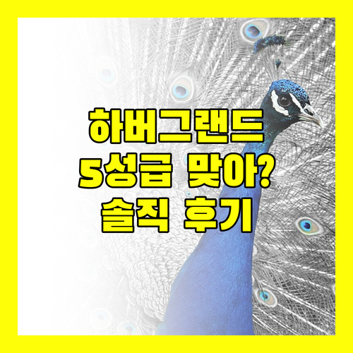 하버 그랜드 홍콩.. 5성급 호텔 맞아? 솔직 투숙 후기 대방출!