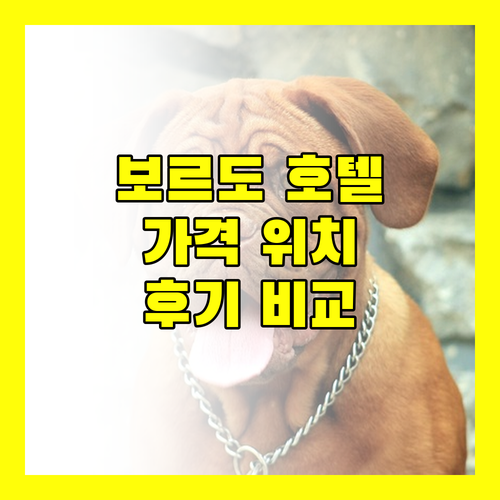 보르도 호텔 완벽 분석! Hotelf1부터 이비스까지 위치, 가격, 후기 비교