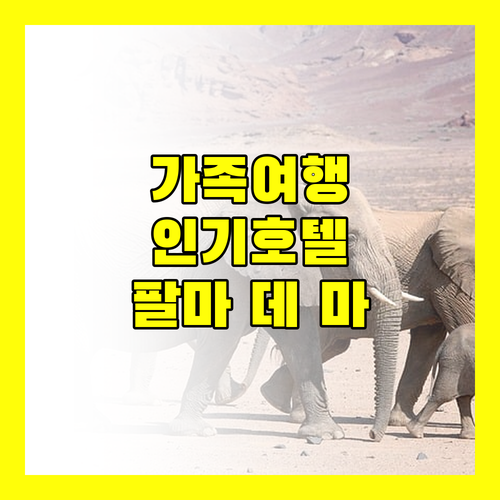 팔마 데 마요르카 인기 호텔 추천 가족 여행객을 위한 완벽한 선택