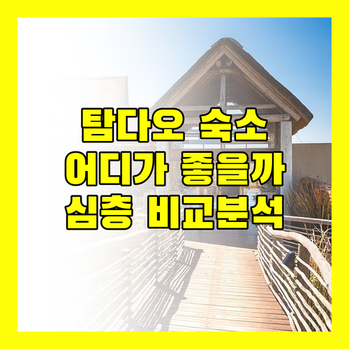 탐다오 여행, 어디서 묵을까? 카멜리아 럭셔리 호텔 vs Hotel De L’Amour 심층 비교!