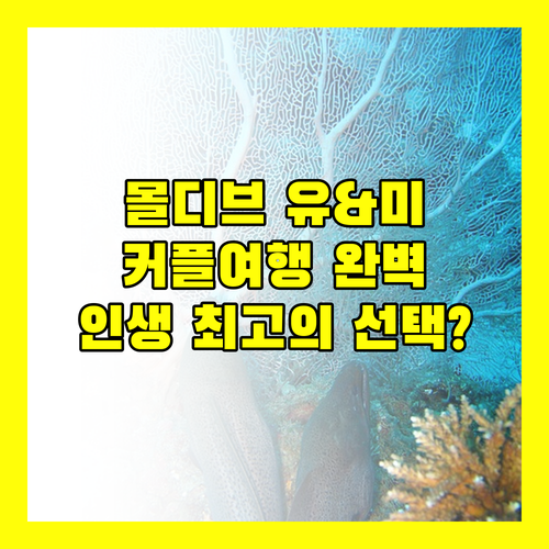 유 & 미 몰디브.. 커플만을 위한 완벽한 휴식, 인생 최고의 선택일까?