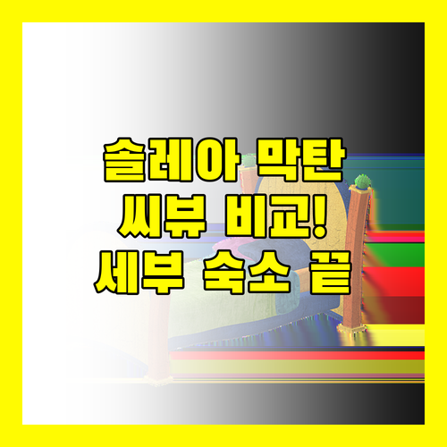 솔레아 막탄 리조트 vs 씨뷰 완벽 비교! 세부 여행 숙소 고민 끝