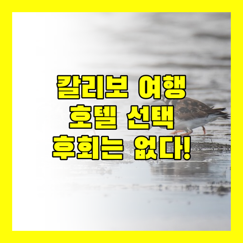 칼리보 여행객 필독! 후회없는 호텔 선택 가이드 (feat. 생생 리뷰)