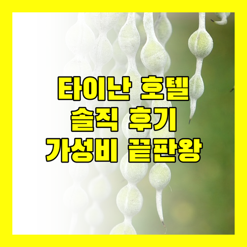 타이난 호텔 완벽 분석! 위치, 서비스, 조식까지 꼼꼼 후기