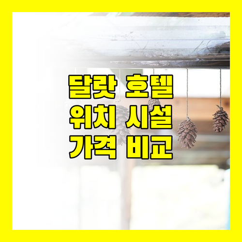 달랏 인기 호텔 위치 시설 가격대별 비교 분석