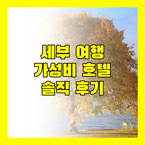 세부 여행객 필독! 가성비 끝판왕 퀘스트 호텔 세부, 솔직 후기 대방출