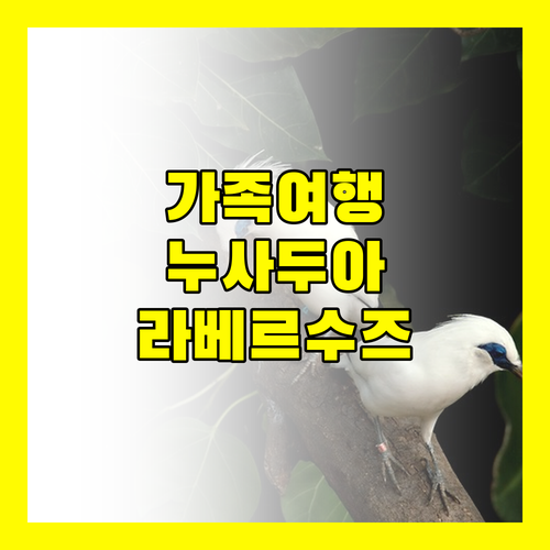 가족 여행객 필독 누사두아 리조트 완벽 분석 라 베르수즈 리조트