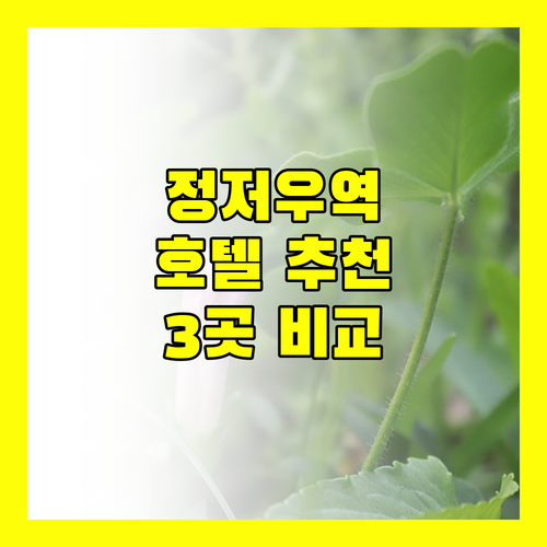 정저우 기차역 근처 호텔 어디가 좋을까? 한탕 호텔, 즈팅 호텔, 잉화 호텔 비교 분석!