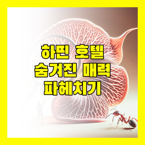 무엉 탄 그랜드 하띤 호텔 숨겨진 매력 파헤치기