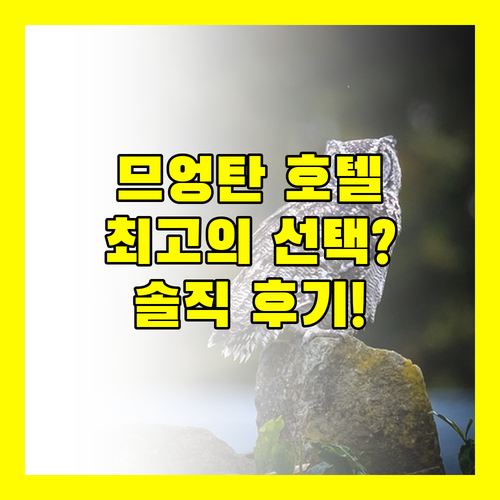 므엉 탄 럭셔리 낫 르 호텔! 꽝빈 여행, 최고의 선택일까?
