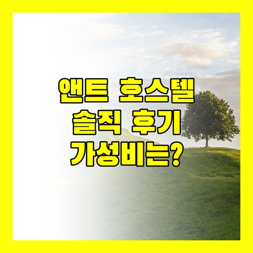 앤트 호스텔 바르셀로나, 솔직 후기! 가성비 vs 불편함?