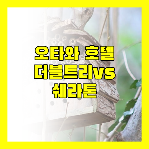 오타와 다운타운 호텔 비교 더블트리 바이 힐튼 vs 쉐라톤 어디가 좋을까