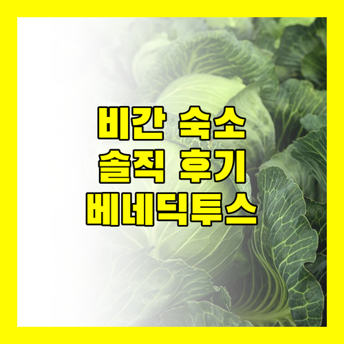 Benediktus Pilgerhaus Inn Vigan, 비간에서의 특별한 경험? 솔직 후기!