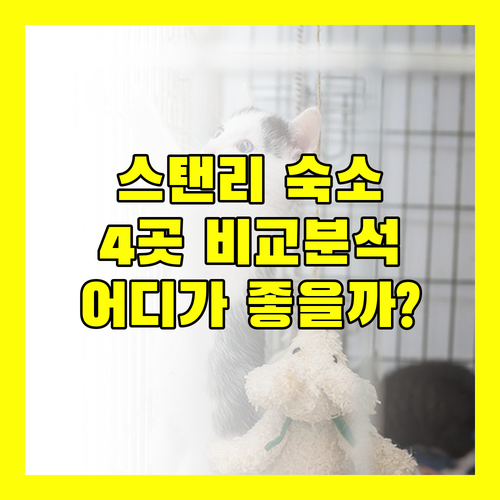 스탠리 여행, 어디에서 묵을까? 인기 숙소 4곳 전격 비교 분석