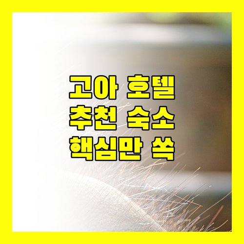 고아 파나지 호텔 추천! 올드 쿼터부터 그란데 델몬, Kamat's Hilltop Leisure, 호텔 파크 프라임까지!
