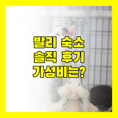가성비 발리 숙소 Tijili Hotel Benoa 솔직 후기 가볼까 말까?