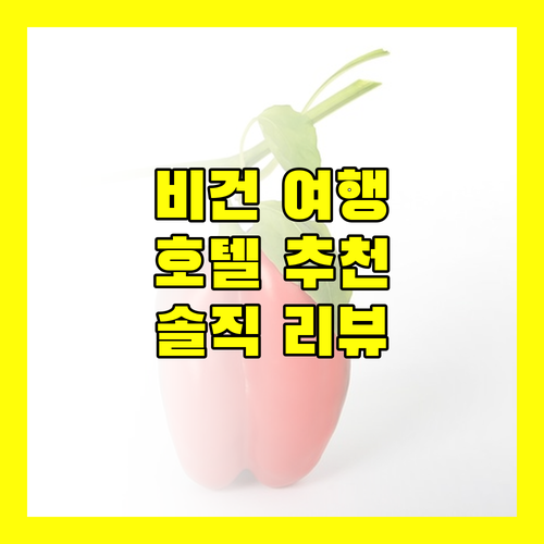비간 여행객이 선택한 최고의 호텔, 생생한 리뷰와 함께 만나보세요