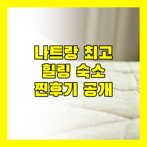 나트랑 다이아몬드 베이 콘도텔, 왜 힐링 명소로 꼽힐까? 실제 투숙객 후기 대방출!