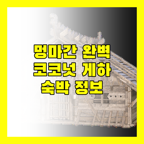 멍마간 코코넛 게스트 하우스 완벽 분석 숙박 규정부터 주변 정보까지