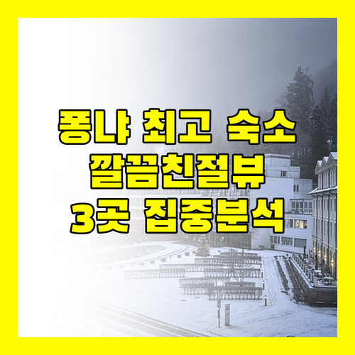 퐁냐 최고의 숙소는 어디? 깨끗함, 친절, 멋진 뷰를 자랑하는 마운틴 하우스, 힐사이드 뷰 방갈로, 응우옌 쉑 리트리트 집중 분석