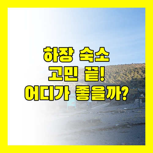 하장 여행 숙소 고민 끝 옌 비엔 럭셔리 호텔 vs HG 호스텔 어디가 좋을까