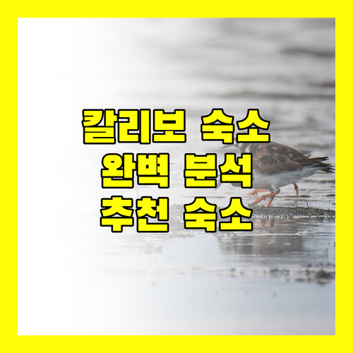칼리보 여행객 필독 로열 스위트 콘도텔, GQ 플라자 등 추천 숙소 완벽 분석