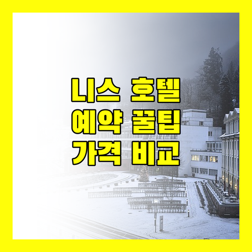 니스 호텔 예약 꿀팁 가격, 위치, 서비스 비교 분석
