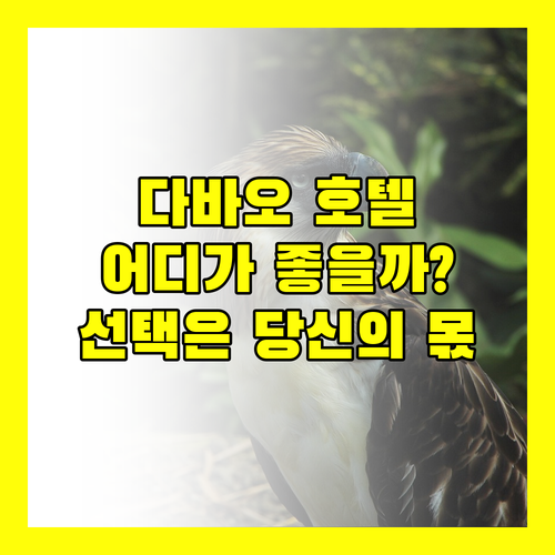 다바오 호텔 추천 더 로열 만다야 호텔 vs 아포 뷰 호텔 당신의 선택은?