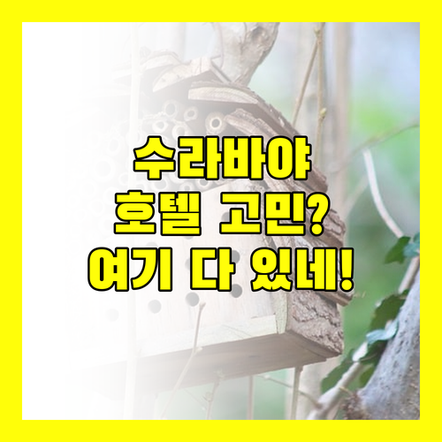 수라바야 호텔 고민 끝! 가성비 & 위치 좋은 곳 여기 다 있네?