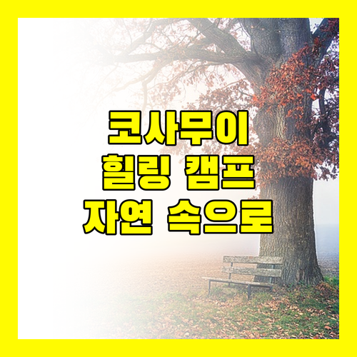 특별한 경험 코사무이 캐러밴 힐 캠프 자연 속 힐링 어때?