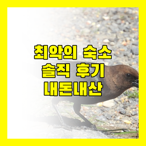 더 그랜드 스위트, 악몽같은 경험? 솔직 후기 공개!