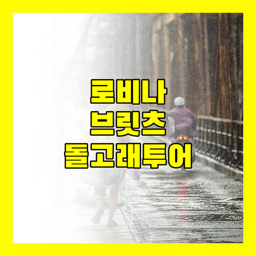 로비나 해변 최고의 선택 브릿츠 리조트 숙박 후기 돌고래 투어!