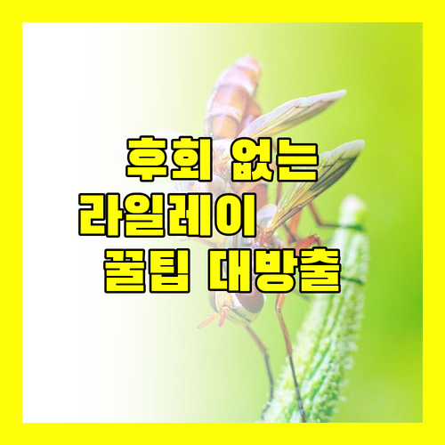 후회 없는 라일레이 여행! 가성비 & 럭셔리 리조트 추천, 예약 꿀팁까지!