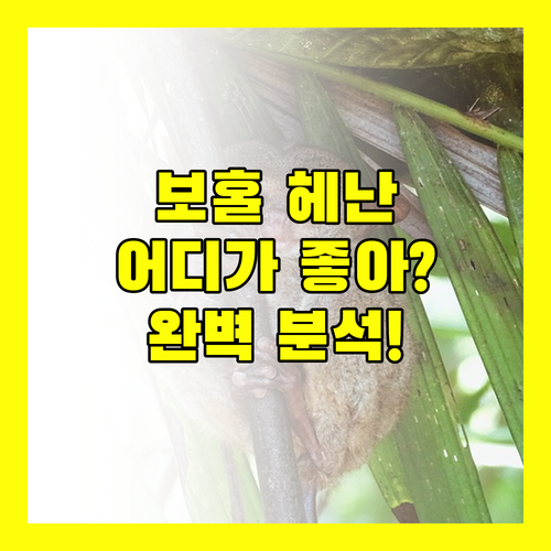보홀 헤난 리조트 완벽 분석 알로나 비치, 프리미어 코스트, 타왈라 어디가 좋을까