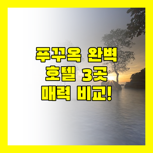 푸꾸옥 완벽 분석 노보텔, 베스트 웨스턴, 소나가의 매력 비교!