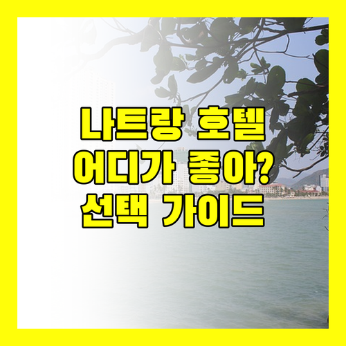나트랑 호텔 선택 고민 끝! 시타딘 베이프런트, 쉐라톤, 선라이즈, 인터컨티넨탈 완벽 비교!