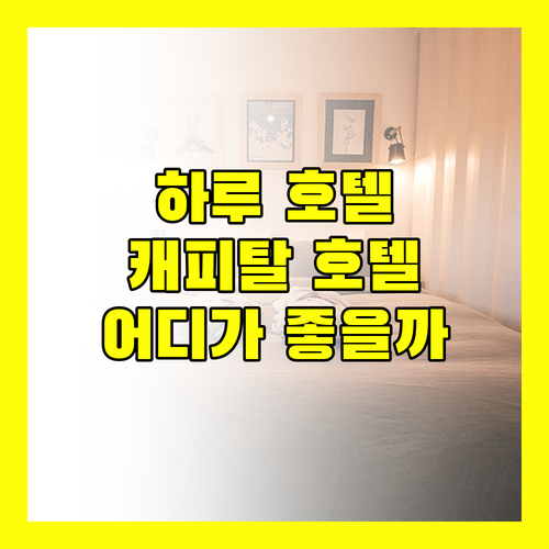 A Day Hotel vs The Capital Hotel, 당신의 선택은?