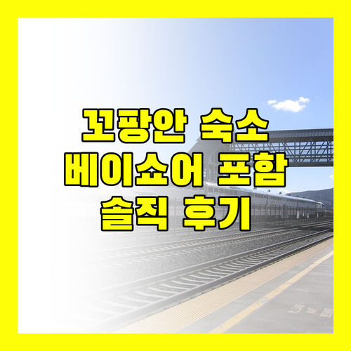 꼬팡안 인기 숙소 총정리 팡안 베이쇼어 리조트 외 3곳의 솔직 후기 및 장단점